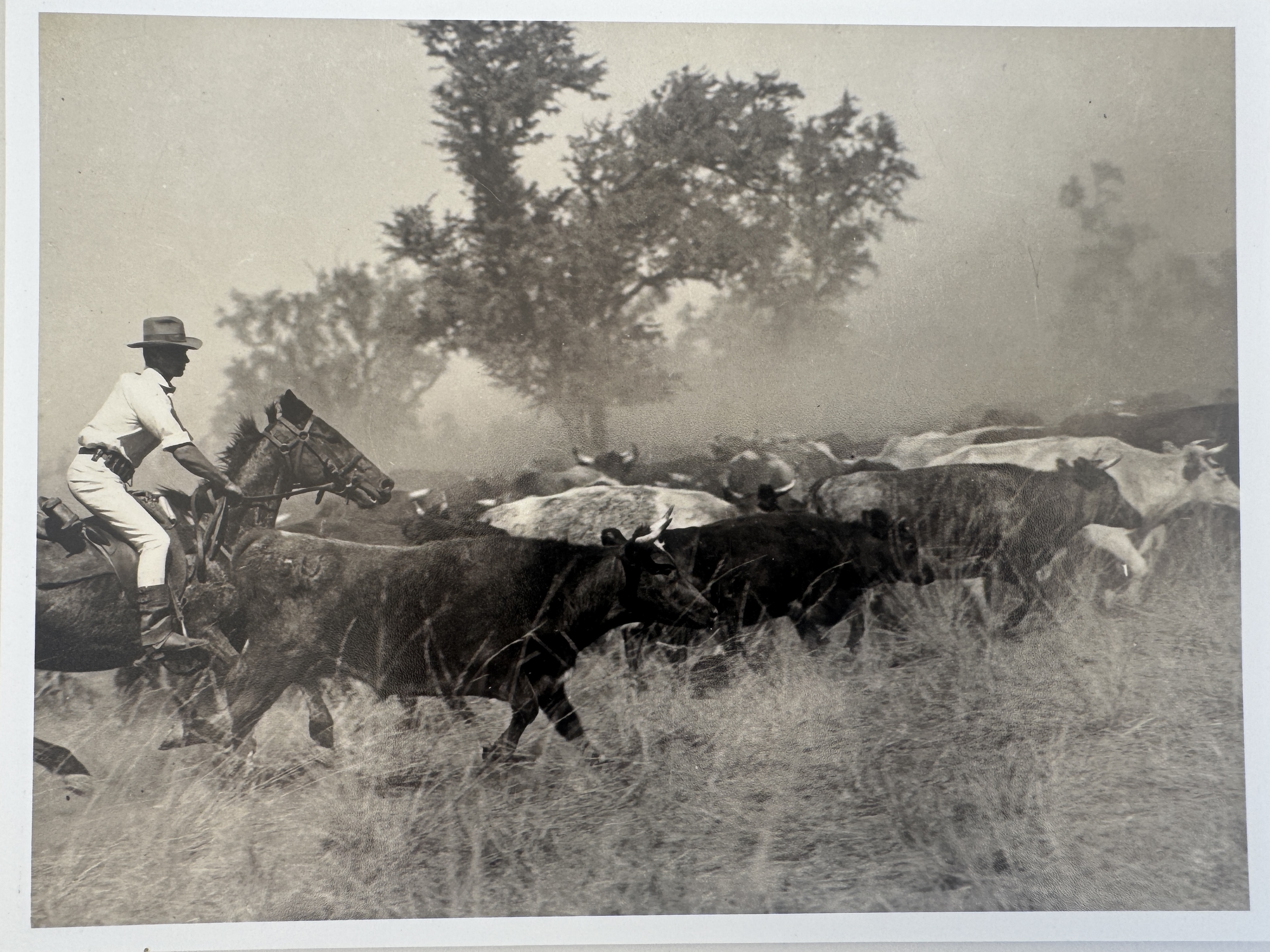 JIM BOOTHE Head Stockman: 100 YEARS